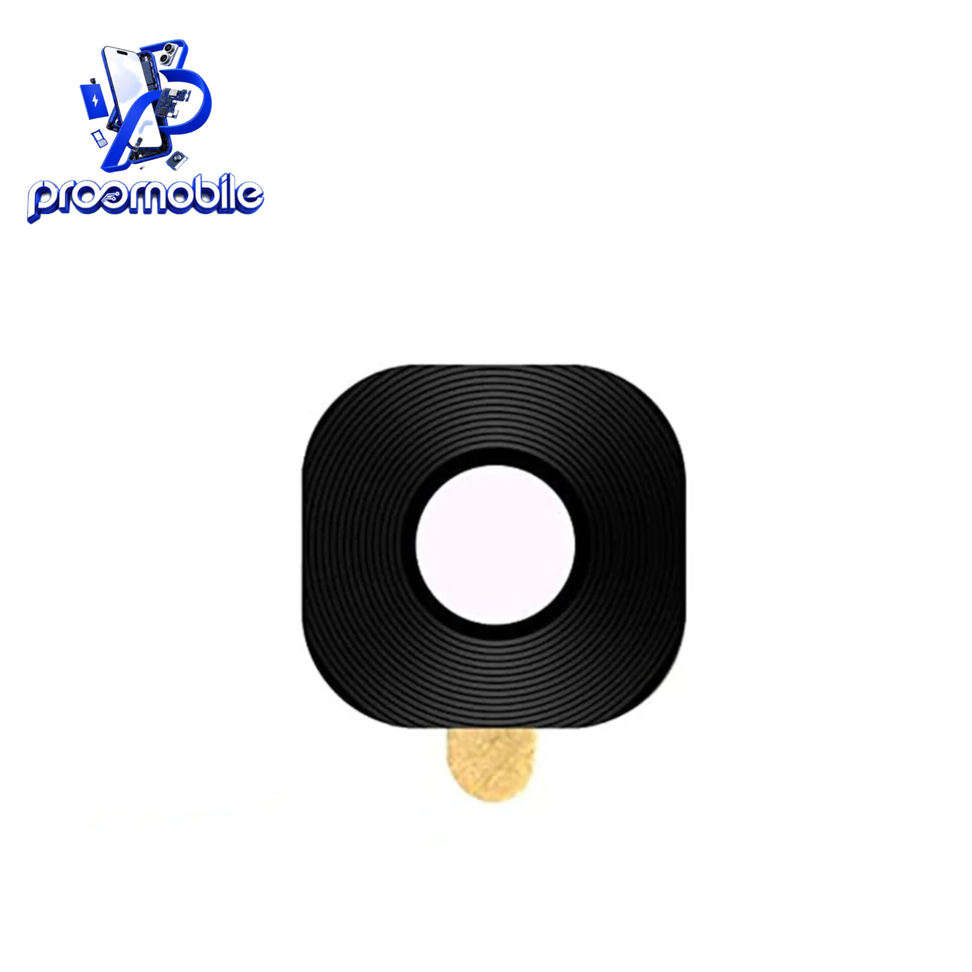 شیشه دوربین سامسونگ Samsung S8 Plus